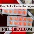 Prix De La Gelée Kamagra 27